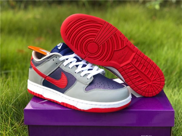 2020 Cheap Nike Dunk Low Samba For Sale CZ2667-400