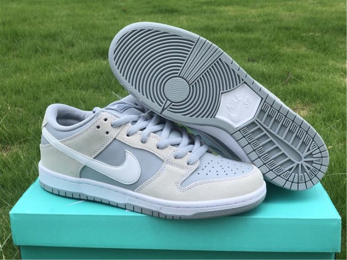 Newest Nike SB Dunk Low TRD Summit White AR0778-110