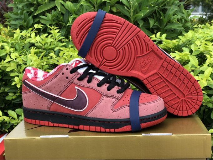 Nike SB Dunk Low Red Lobster Shoes To Buy 313170-661