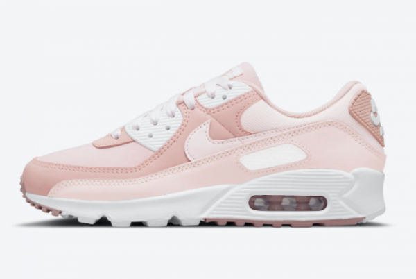 2021 Cheap Nike Air Max 90 Pink Oxford DJ3862-600