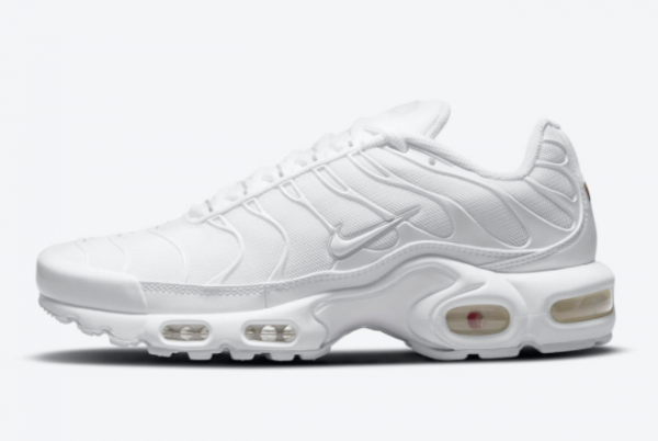 2021 Mens Nike Air Max Plus Triple White Shoes DM2362-100