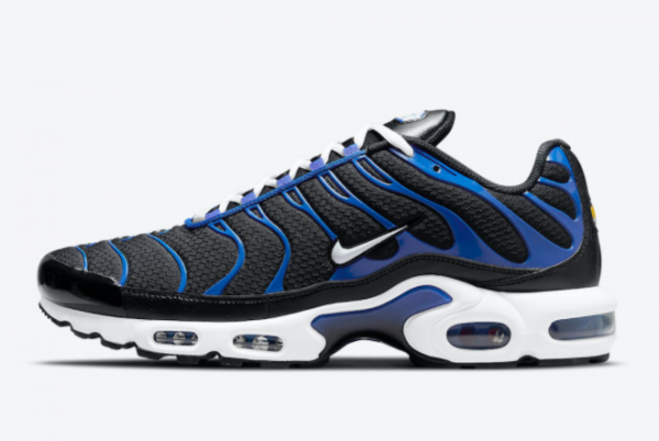 Cheap Nike Air Max Plus Black Royal Training Shoes DM8331-001