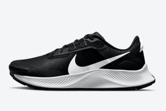 Nike Pegasus Trail 3 Black White Running Sneakers DA8697-001