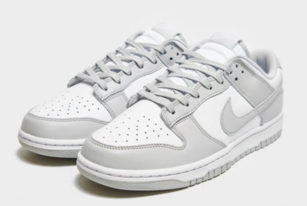 Cheap Nike Dunk Low Grey Fog To Buy DD1391-103-3