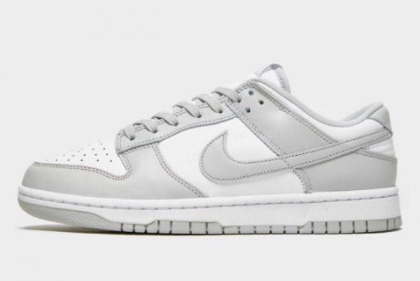 Cheap Nike Dunk Low Grey Fog To Buy DD1391-103