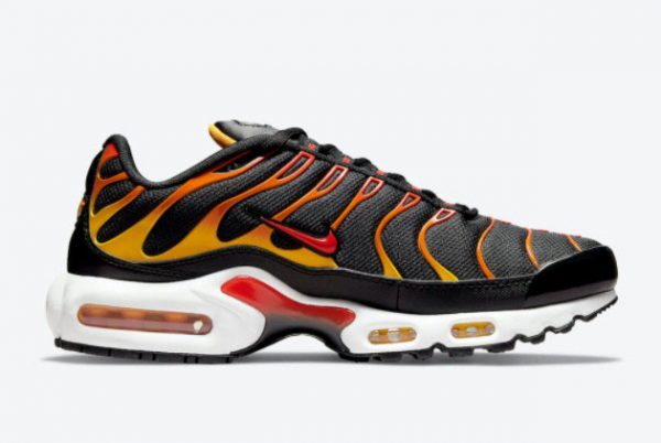 Men and Womens Nike Air Max Plus Reverse Sunset DC6094-001-1