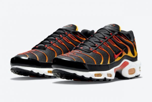 Men and Womens Nike Air Max Plus Reverse Sunset DC6094-001-2