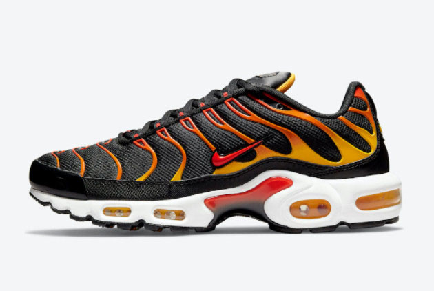 Men and Womens Nike Air Max Plus Reverse Sunset DC6094-001