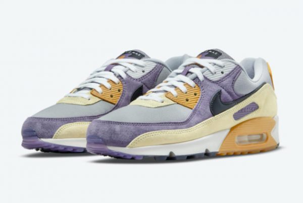 2021 Cheap Nike Air Max 90 NRG Court Purple DC6083-500-2