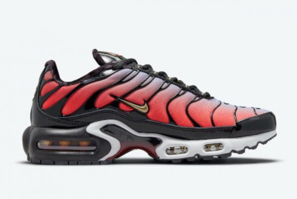 Cheap Price Nike Air Max Plus Sisterhood Sneakers DO6115-500-1