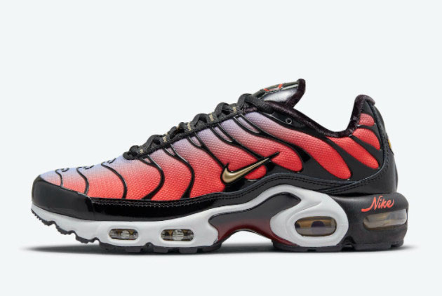 Cheap Price Nike Air Max Plus Sisterhood Sneakers DO6115-500