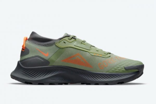 2021 Nike Pegasus Trail 3 Gore-Tex Green For Sale DO6728-300-1