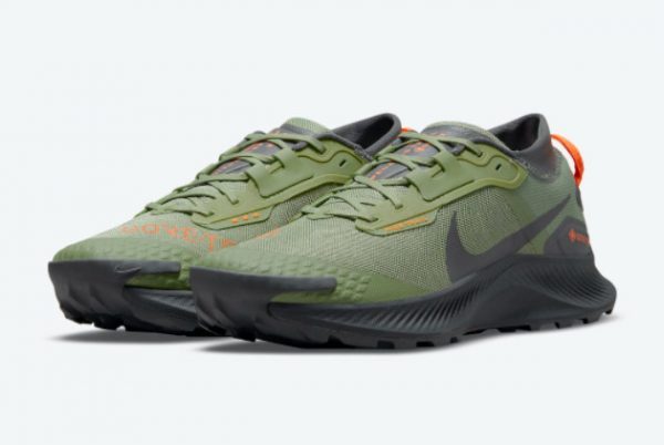 2021 Nike Pegasus Trail 3 Gore-Tex Green For Sale DO6728-300-2