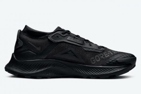 Cheap Nike Pegasus Trail 3 GORE-TEX Black DC8793-001-1