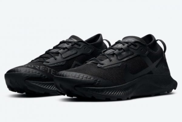 Cheap Nike Pegasus Trail 3 GORE-TEX Black DC8793-001-2