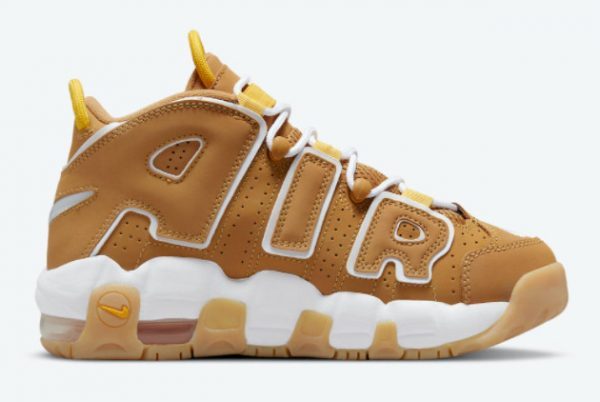 Cheap Price Nike Air More Uptempo GS Wheat DQ4713-700-1