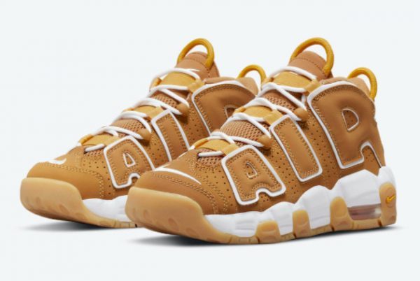 Cheap Price Nike Air More Uptempo GS Wheat DQ4713-700-2