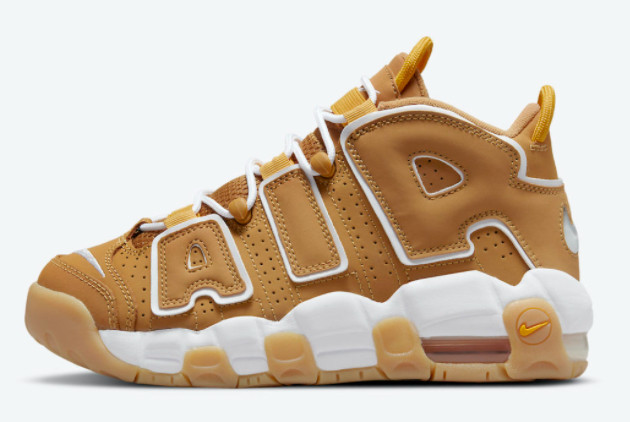 Cheap Price Nike Air More Uptempo GS Wheat DQ4713-700