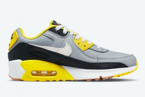 Hot Sale Nike Air Max 90 GS Go The Extra Smile DQ0570-001-1