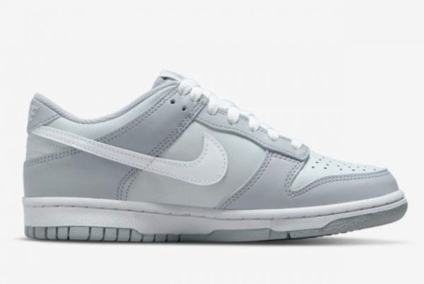 2022 Nike Dunk Low GS Grey Cheap Price DH9765-001-1