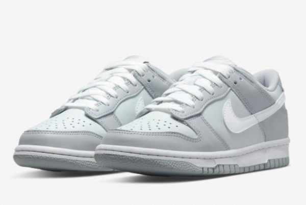 2022 Nike Dunk Low GS Grey Cheap Price DH9765-001-2