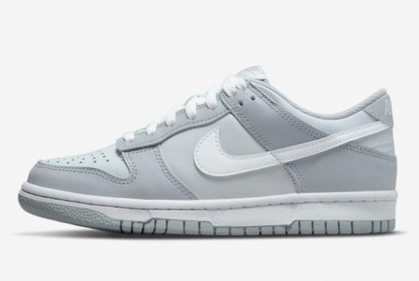 2022 Nike Dunk Low GS Grey Cheap Price DH9765-001