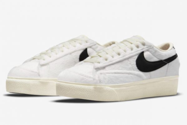 Nike Blazer Low Platform Culture Day Sneakers On Sale DO2115-133-2