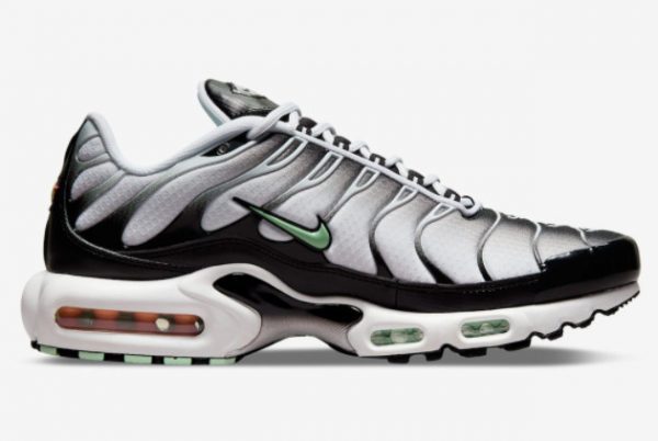 2022 Nike Air Max Plus White Black Mint Green Trainers DH4776-100-1