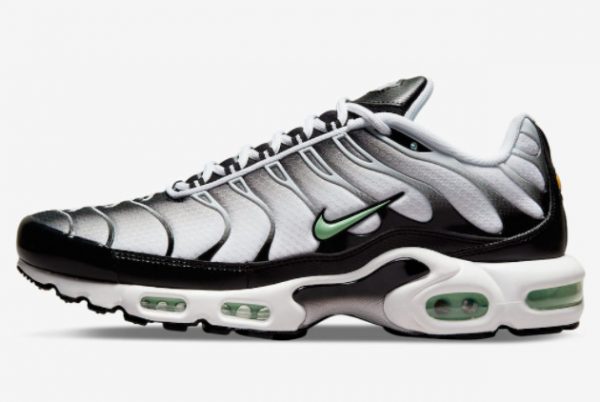 2022 Nike Air Max Plus White Black Mint Green Trainers DH4776-100