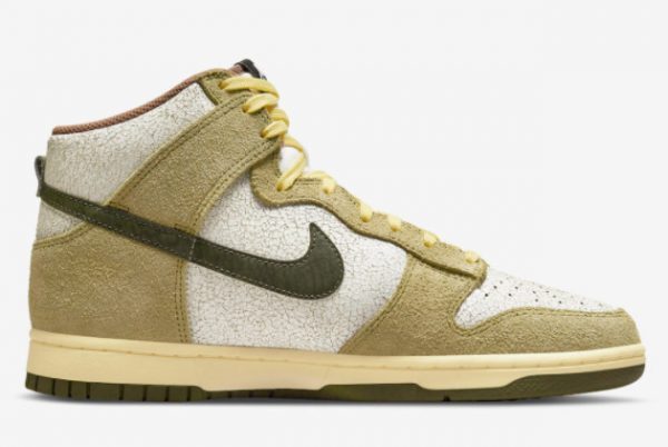 2022 Nike Dunk High Re-Raw Discount Sale DO6713-300-1