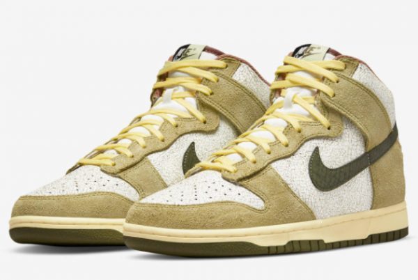 2022 Nike Dunk High Re-Raw Discount Sale DO6713-300-2