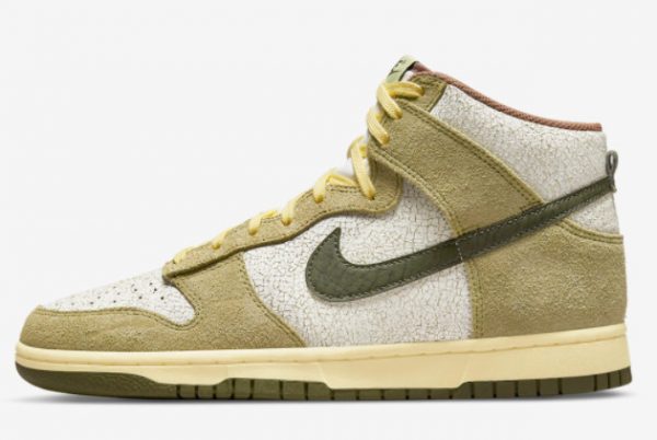 2022 Nike Dunk High Re-Raw Discount Sale DO6713-300