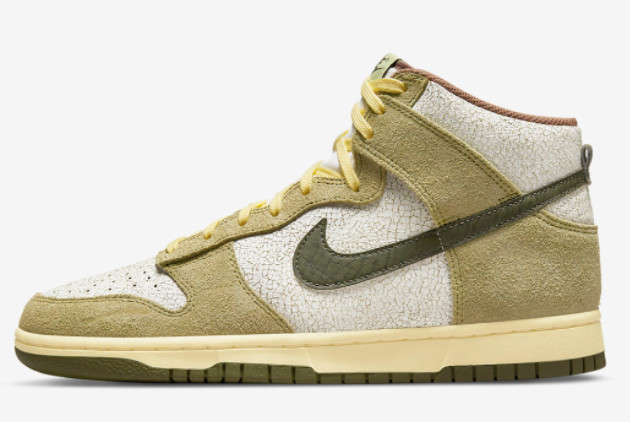 2022 Nike Dunk High Re-Raw Discount Sale DO6713-300