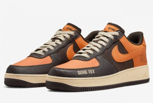 Big Kids Nike Air Force 1 Gore-Tex Shattered Backboard DO2760-220-2