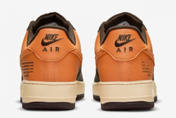 Big Kids Nike Air Force 1 Gore-Tex Shattered Backboard DO2760-220-3