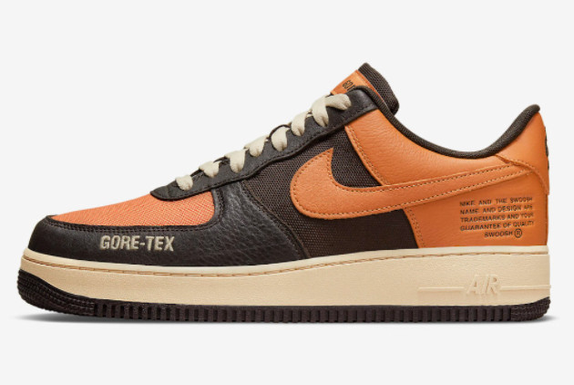 Big Kids Nike Air Force 1 Gore-Tex Shattered Backboard DO2760-220