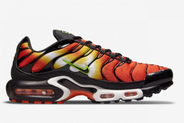 Grade School Nike Air Max Plus Sunset Gradient DR8581-800-1