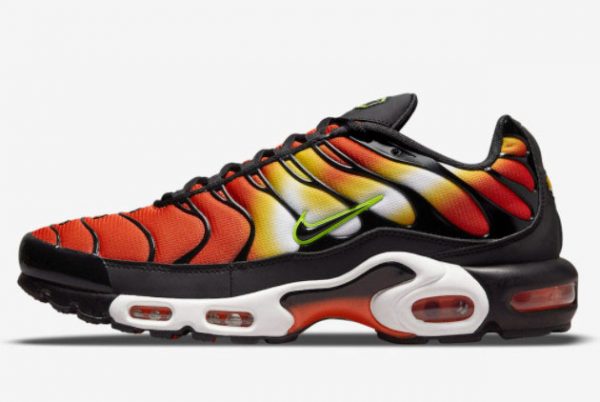 Grade School Nike Air Max Plus Sunset Gradient DR8581-800