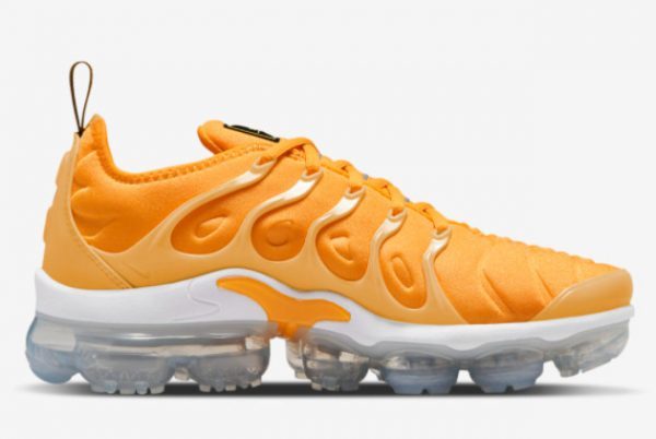 Top Quality Nike Air VaporMax Plus Go The Extra Smile DO5874-700-1