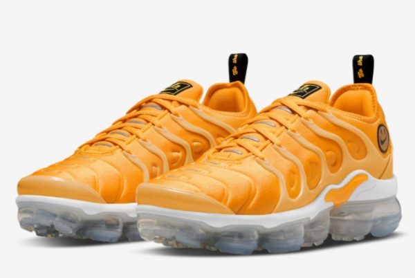 Top Quality Nike Air VaporMax Plus Go The Extra Smile DO5874-700-2