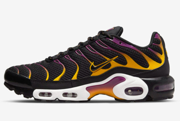 Buy Nike Air Max Plus Black/Purple-Gold Trainers DX2663-001