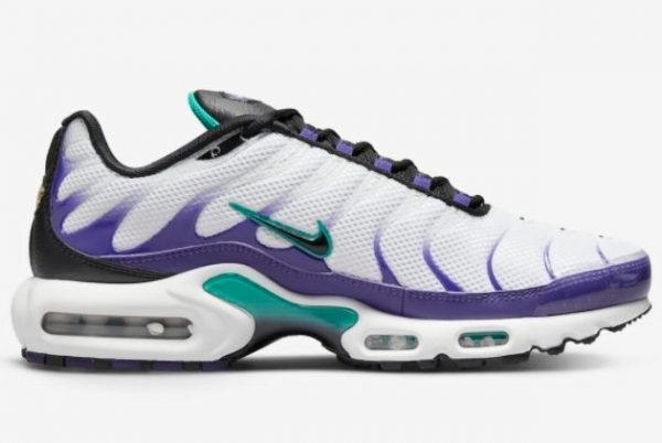 New Released Nike Air Max Plus “Grape” White/Purple-Teal DM0032-100-1