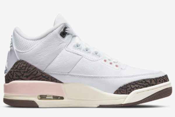 Brand New Air Jordan 3 Neapolitan Dark Mocha-Atmosphere CK9246-102-1