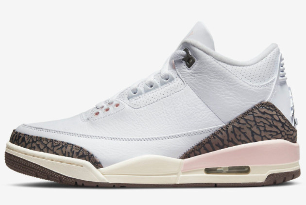 Brand New Air Jordan 3 Neapolitan Dark Mocha-Atmosphere CK9246-102